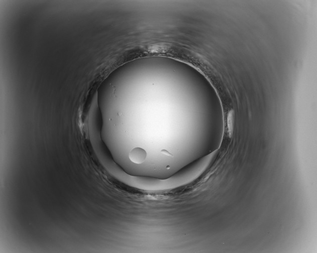 X0000088921443200706081351