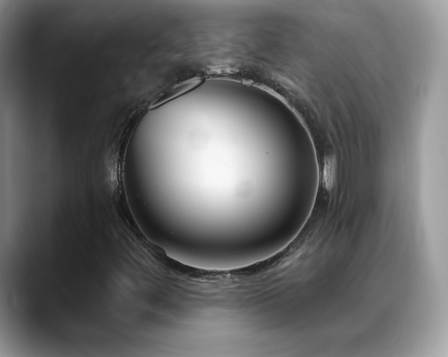 X0000088921444200706081351