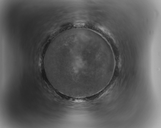 X0000088921445200706081351