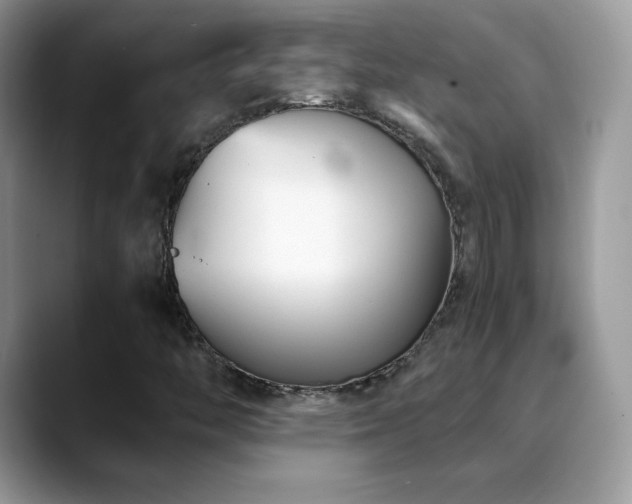 X0000088921446200706081351