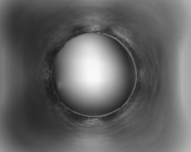 X0000088921447200706081351