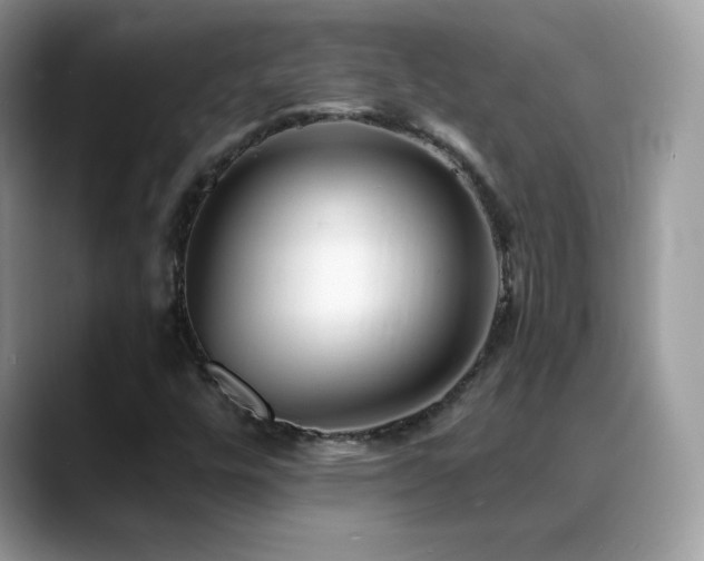 X0000088921448200706081351