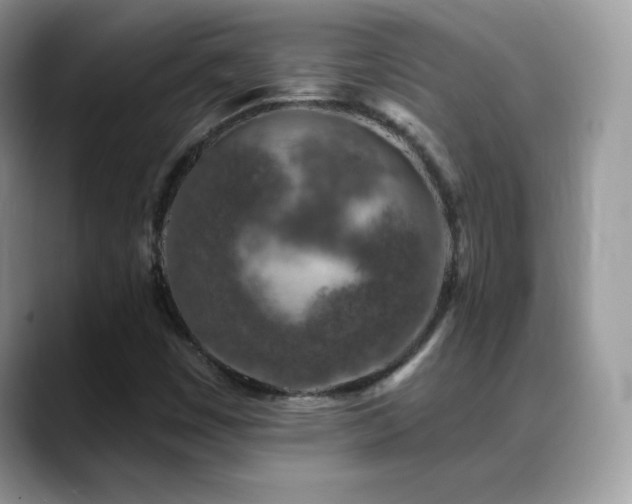 X0000088921449200706081351