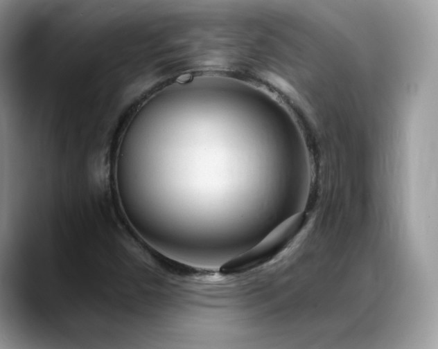 X0000088921450200706081351