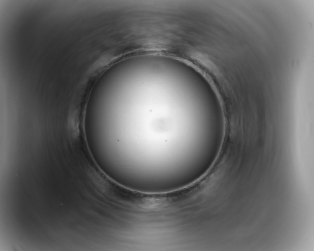 X0000088921451200706081351