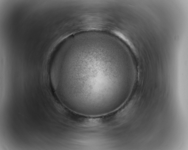 X0000088921453200706081351
