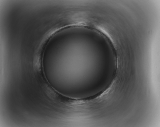 X0000088921455200706081351