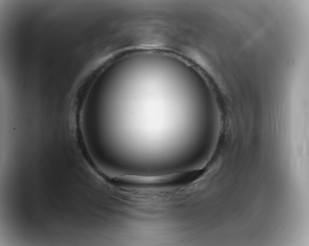 X0000088921456200706081351