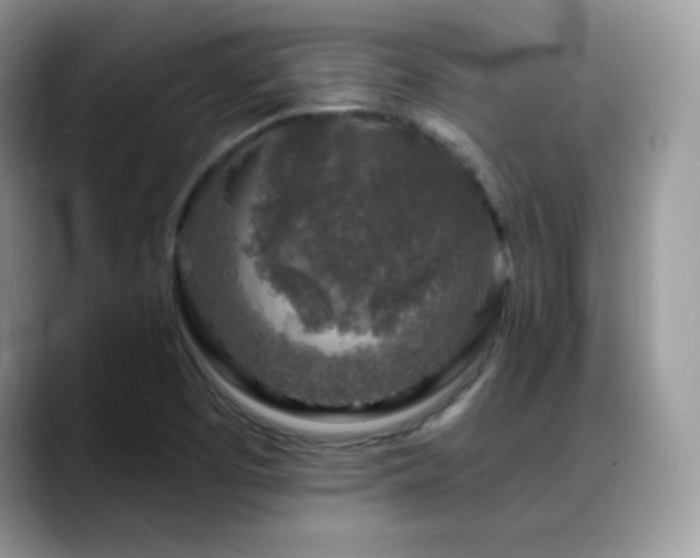 X0000088921457200706081351