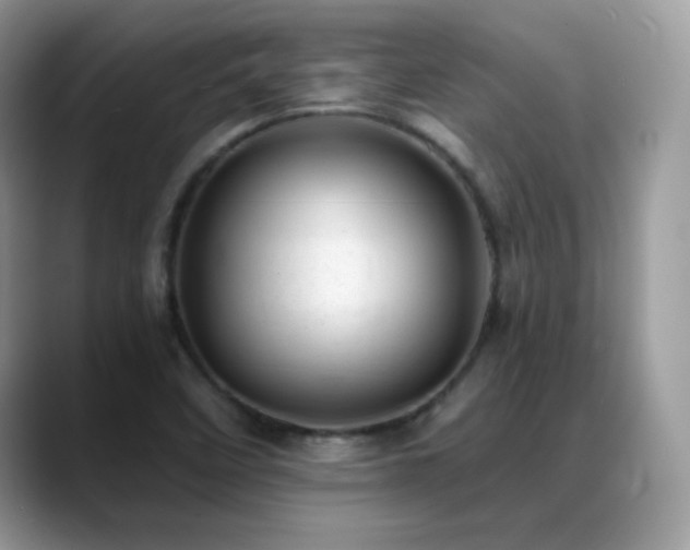 X0000088921458200706081351