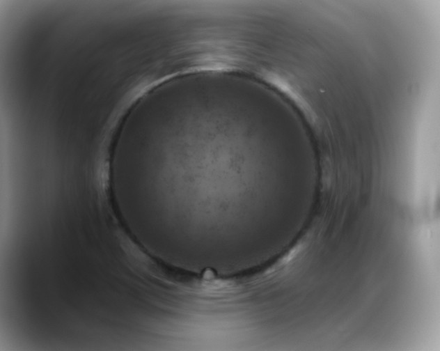 X0000088921459200706081351