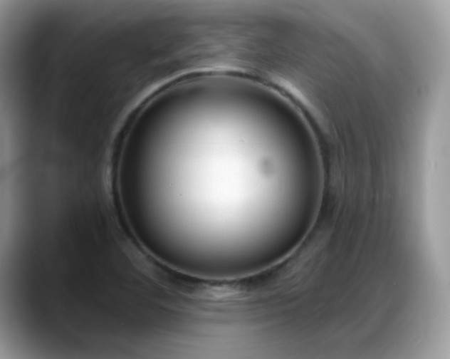 X0000088921460200706081351