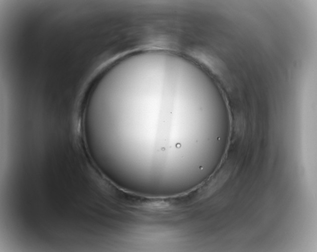 X0000088921462200706081350