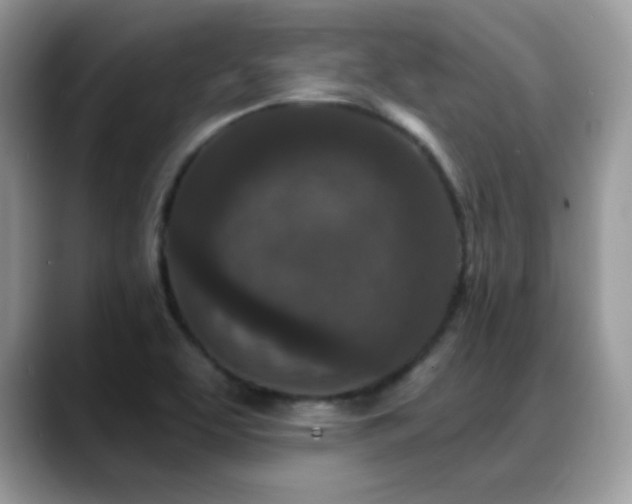 X0000088921463200706081350