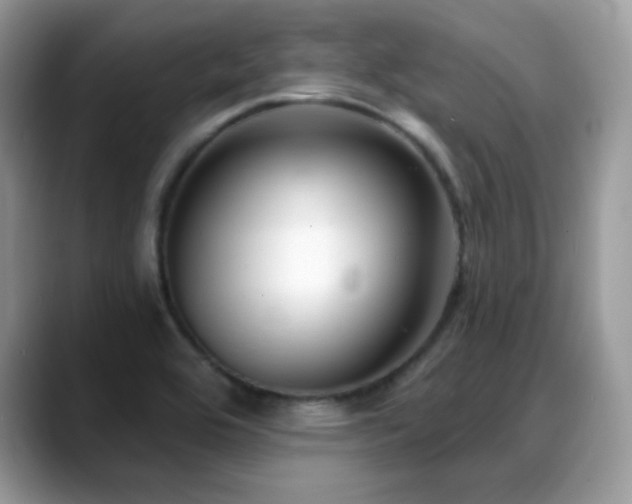 X0000088921464200706081350