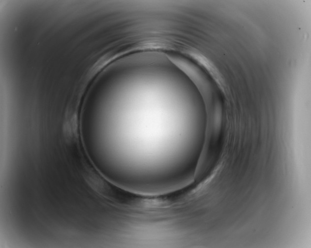 X0000088921465200706081350
