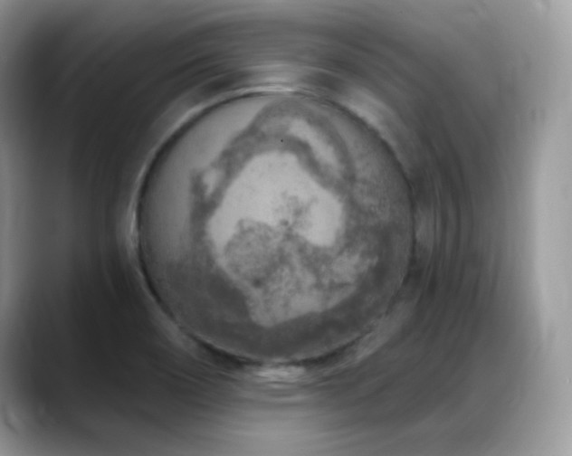 X0000088921466200706081350