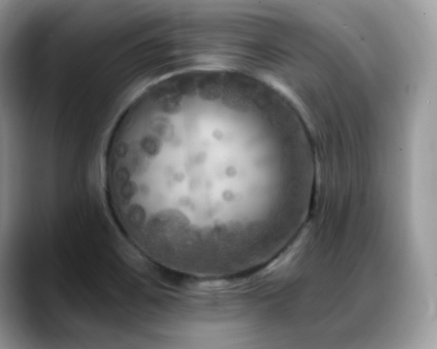 X0000088921467200706081350