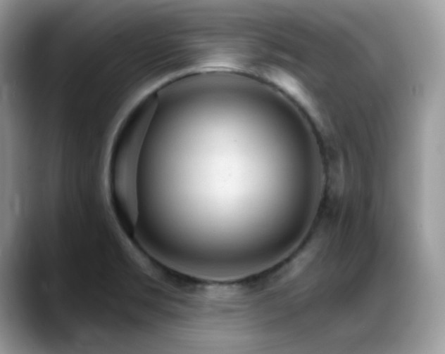 X0000088921469200706081350
