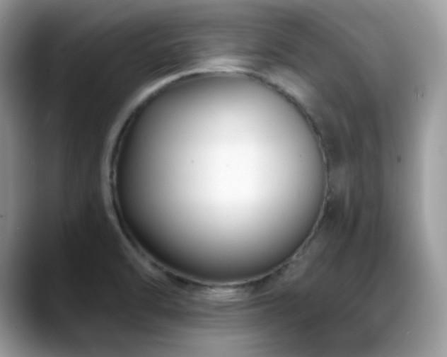 X0000088921470200706081350