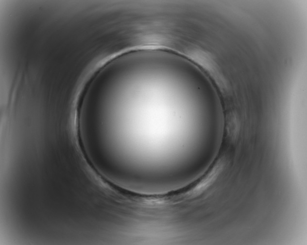 X0000088921472200706081350