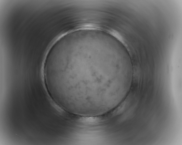 X0000088921474200706081350