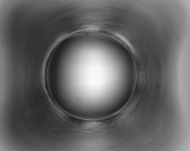 X0000088921475200706081350