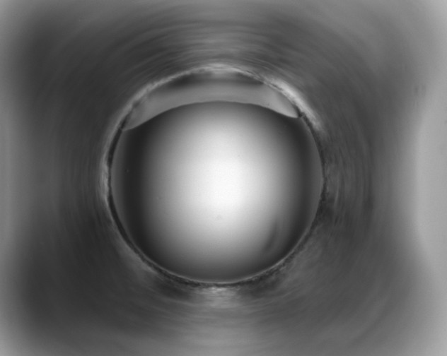 X0000088921476200706081350