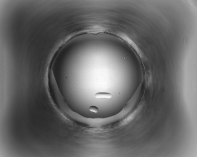 X0000088921477200706081350