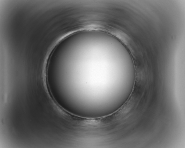 X0000088921478200706081350