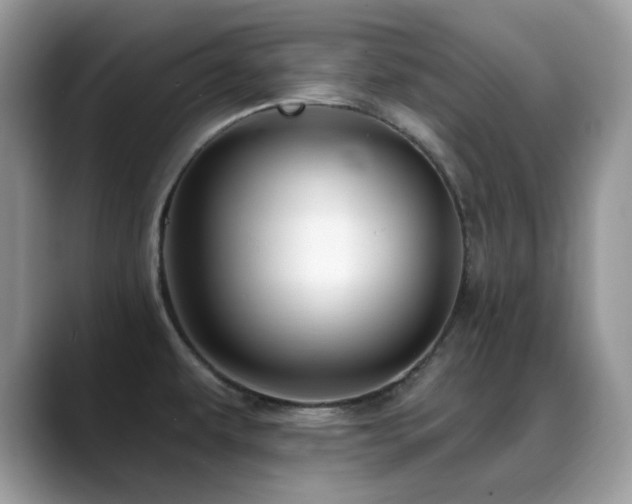 X0000088921479200706081350
