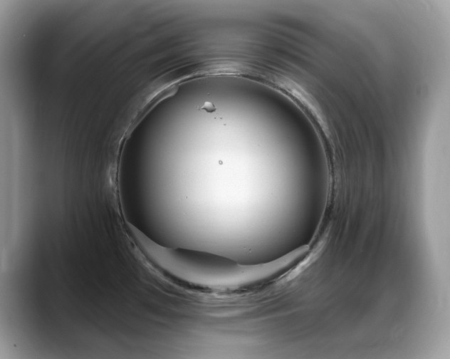 X0000088921481200706081350