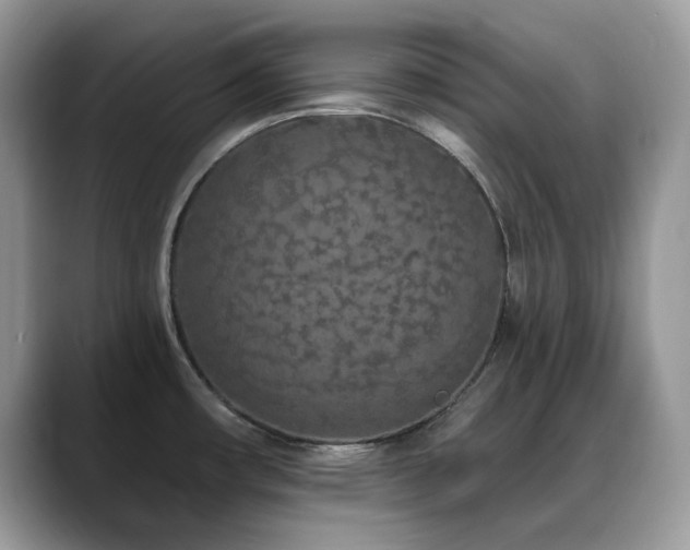 X0000088921482200706081350