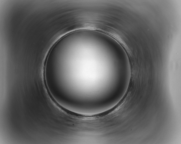 X0000088921484200706081350