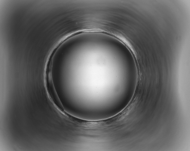 X0000088921485200706081350