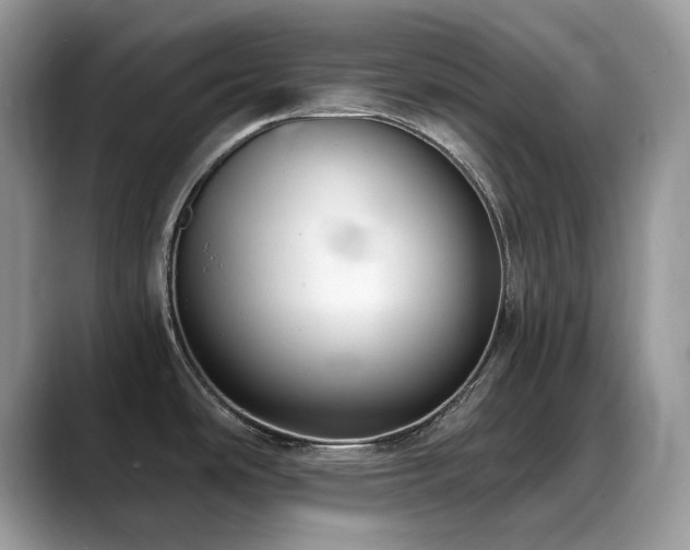 X0000088921486200706081350