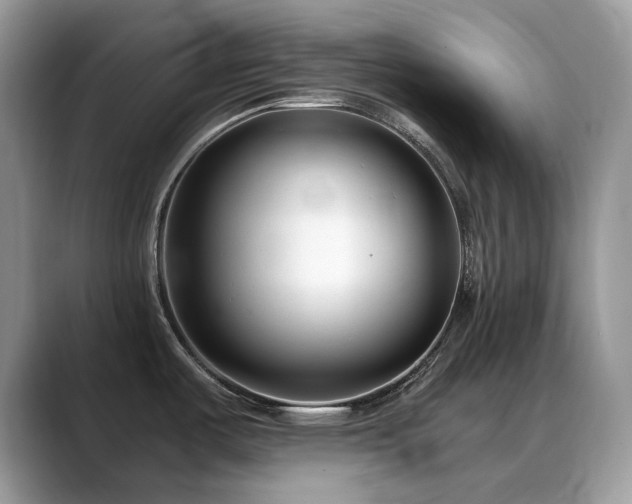 X0000088921487200706081350