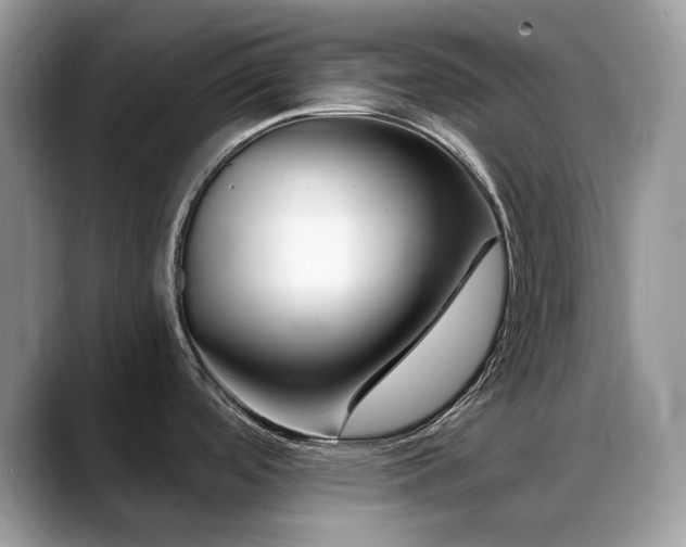 X0000088921488200706081350
