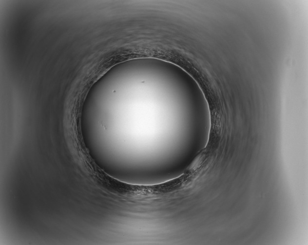 X0000088921489200706081350