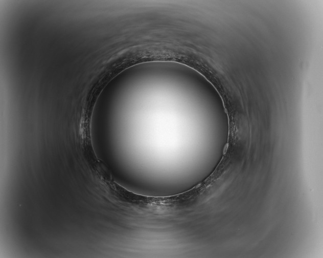 X0000088921490200706081350
