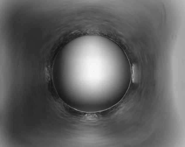 X0000088921491200706081350