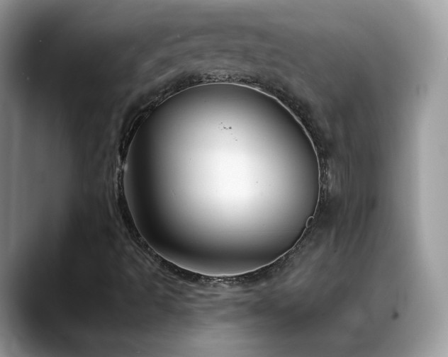 X0000088921493200706081350