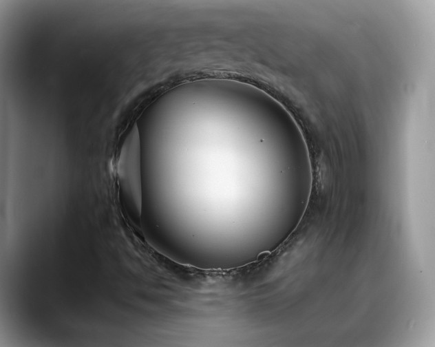 X0000088921494200706081350
