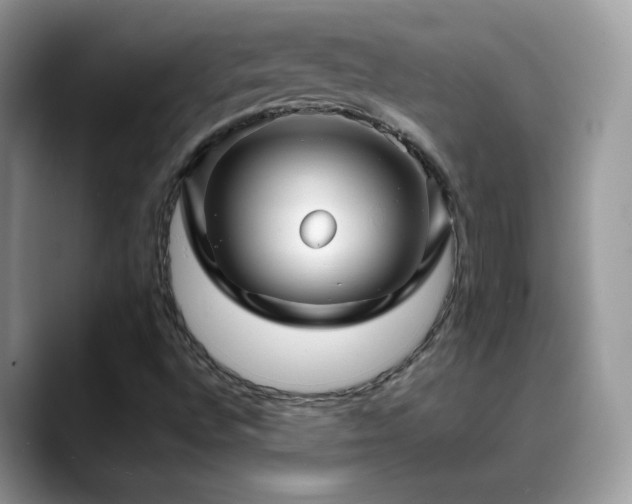 X0000088921496200706081350