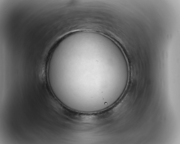 X0000088921498200706081350