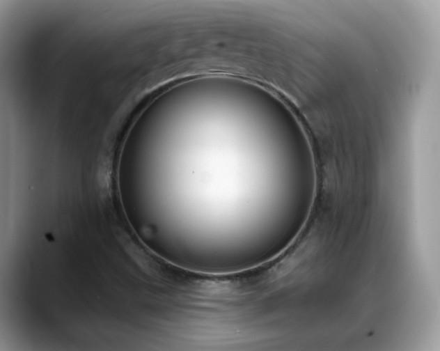X0000088921499200706081350