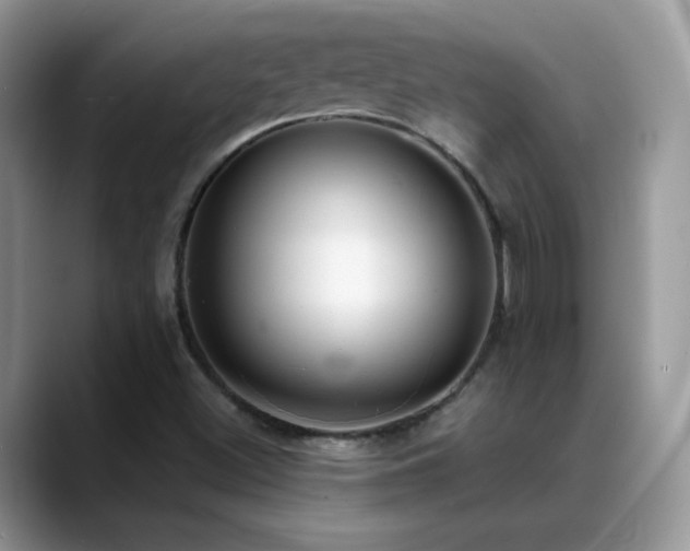 X0000088921500200706081350