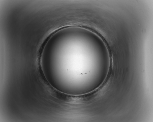 X0000088921501200706081350