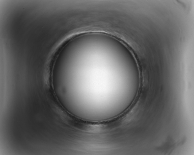 X0000088921502200706081350
