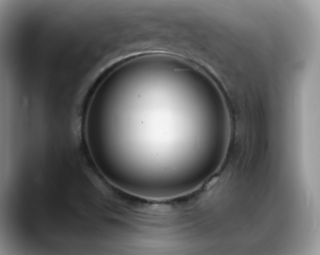 X0000088921503200706081350